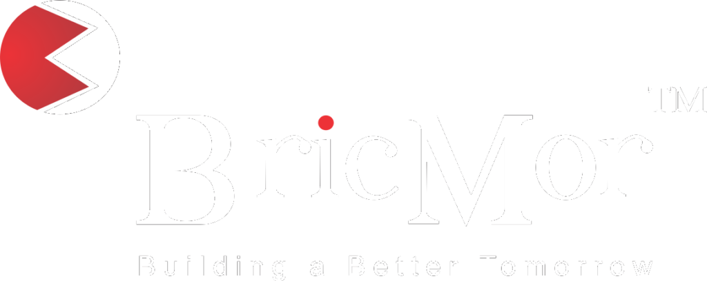 bricmor logo